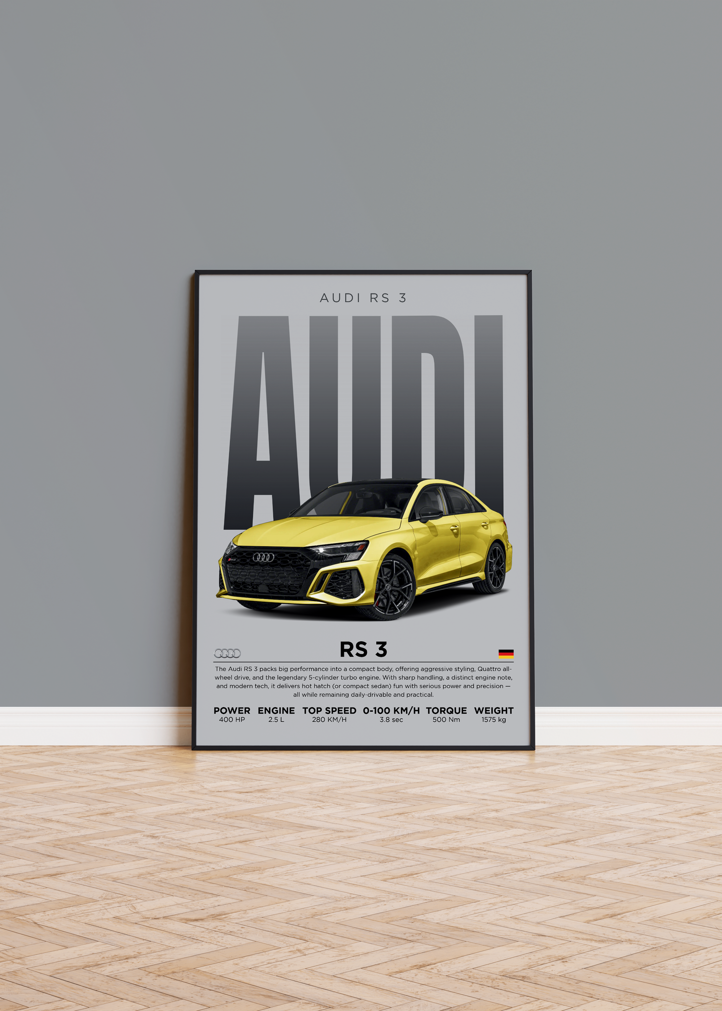 RS 3