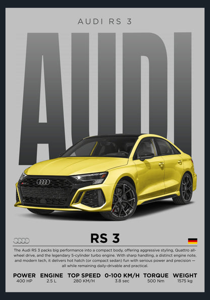 RS 3